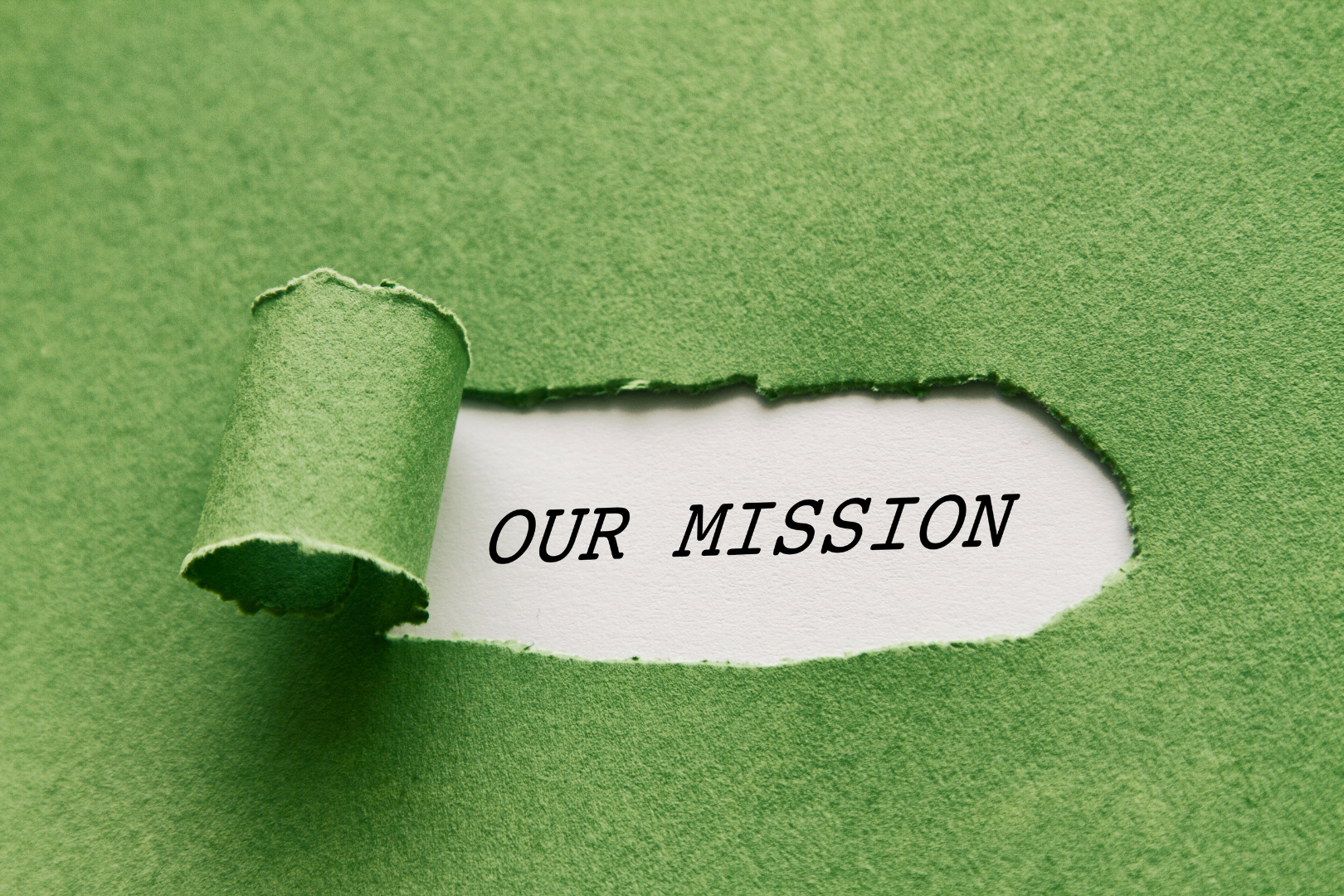 The Mission of Media Leveling