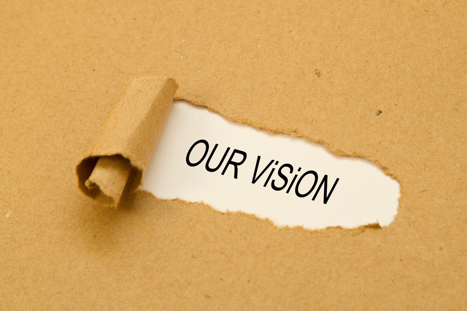 The vision of Media Leveling as a brand